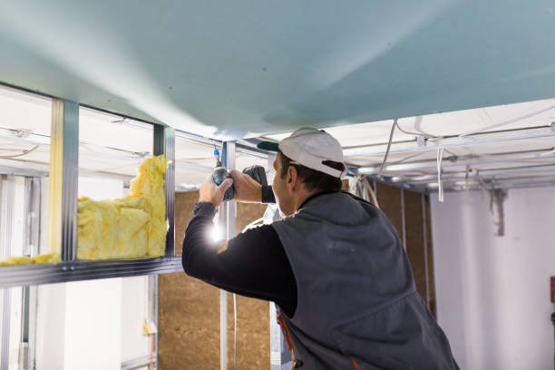 Best Residential Insulation Services  in St Francis, MN