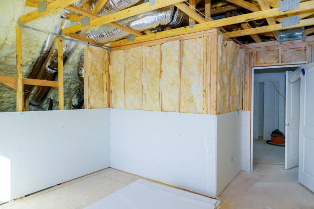 Trusted St Francis, MN Insulation Contractor Experts
