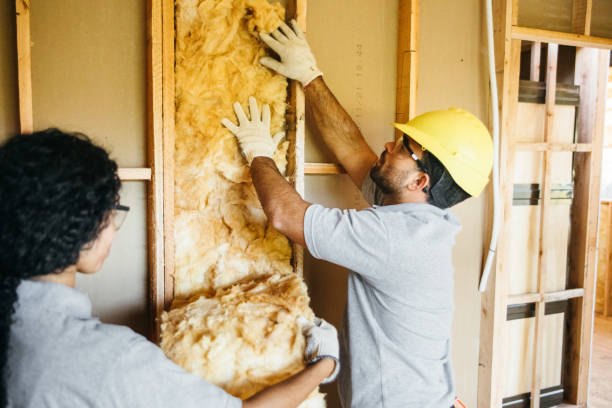Best Insulation Contractors for Homes  in St Francis, MN