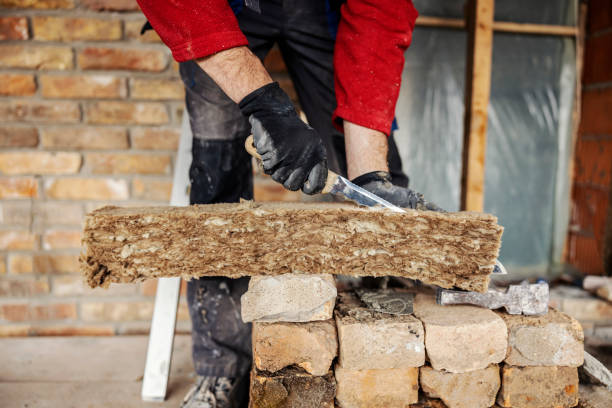 Best Insulation for Commercial Buildings  in St Francis, MN