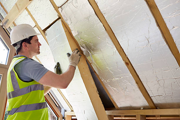 Best Attic Insulation Installation  in St Francis, MN